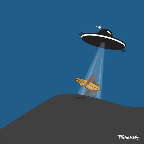 SURF DUNE ~ UFO ~ SURF SASQUATCH ~ 1:1