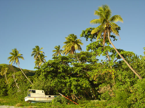 FIJI ~ SUVA BOAT ~ 00383 ~ 3:4