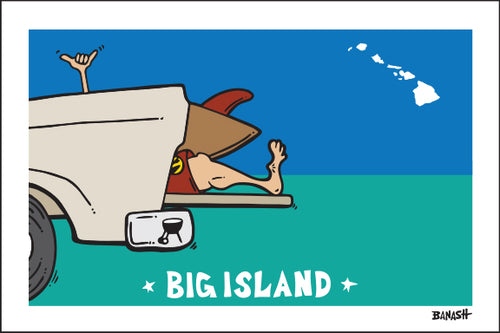 BIG ISLAND ~ HAWAI'I ~ TAILGATE SURF GREM ~ 2:3