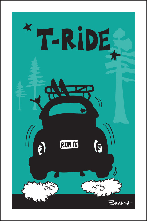 TELLURIDE ~ SKI BUG TAIL ~ AIR ~ 2:3