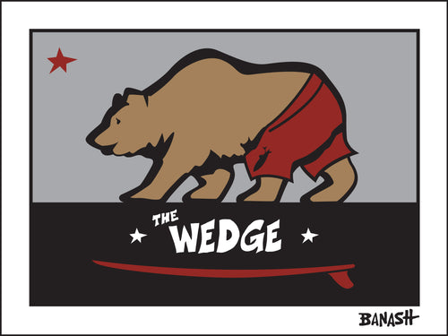 THE WEDGE ~ SURF BEAR ~ NEWPORT BEACH ~ 3:4