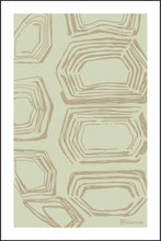 Load image into Gallery viewer, DESERT TORTOISE SHELL ~ DRIFTWOOD ~ 2:3