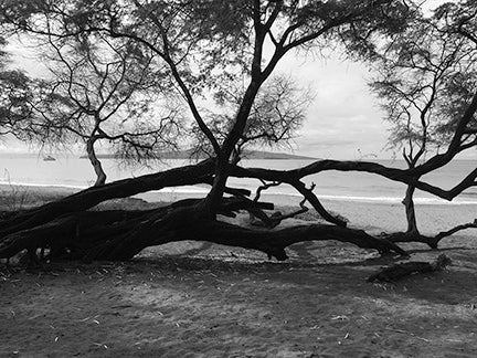 PO'OLENALENA BEACH PARK ~ TREE ISLAND ~ 3:4