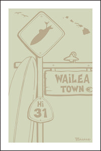 WAILEA TOWN ~ SURF XING ~ HWY 31 ~ DRIFTWOOD ~ 2:3