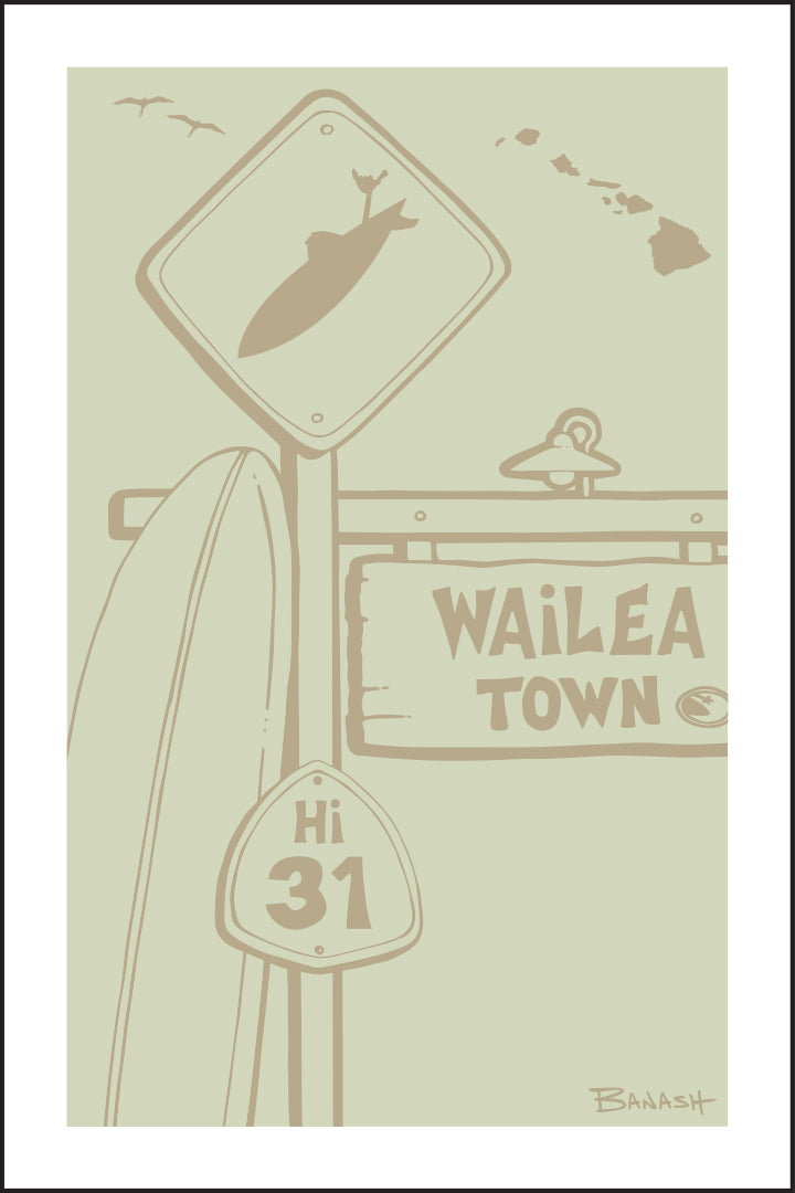 WAILEA TOWN ~ SURF XING ~ LONGBOARD ~ HWY 31 ~ DRIFTWOOD ~ 2:3