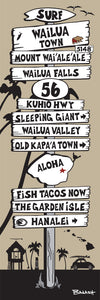 WAILUA TOWN ~ KUHIO HWY 56 ~ KAUA'I ~ SIGN POST ~ 8x24