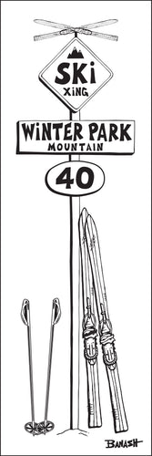 WINTER PARK MOUNTAIN ~ SKI XING ~ VINTAGE SKIIS ~ SIGN POST ~ 8x24