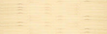 Load image into Gallery viewer, CARDIFF BY THE SEA ~ SURF HUT ~ SURF BUG ~ 8x24
