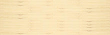 Load image into Gallery viewer, LAHAINA TOWN ~ SURF BUG ~ SURF HUT ~ PALMS ~ 8x24