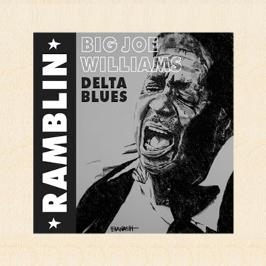 BIG JOE WILLIAMS ~ RAMBLIN ~ DELTA BLUES ~ 6x6