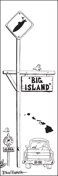 BIG ISLAND ~ TOWN SURF XING ~ 8x24