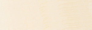 PACIFIC BEACH ~ SURF BUG ~ TOWER ~ 8x24
