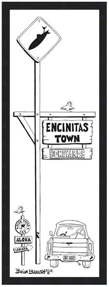 BONEYARDS ~ ENCINITAS TOWN ~ 8x24