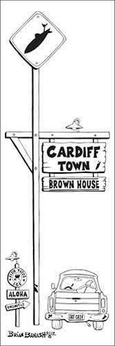 BROWN HOUSE ~ TOWN SURF XING ~ CARDIFF BY THE SEA ~ 8x24