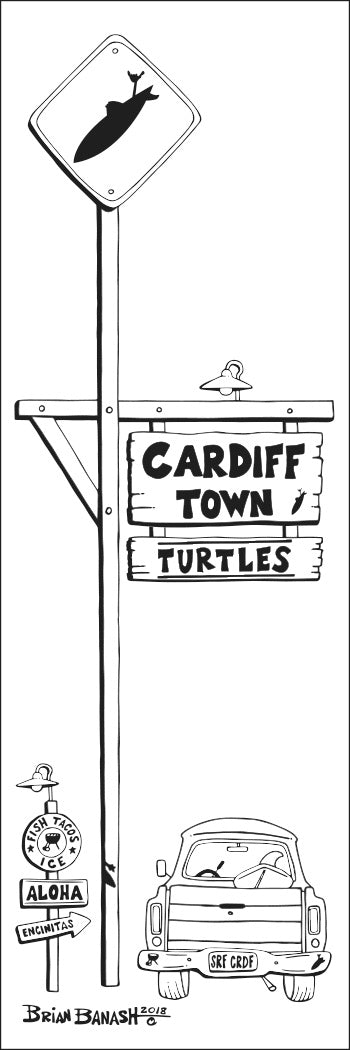 TURTLES ~ TOWN SURF XING ~ CARDIFF BY THE SEA ~ 8x24