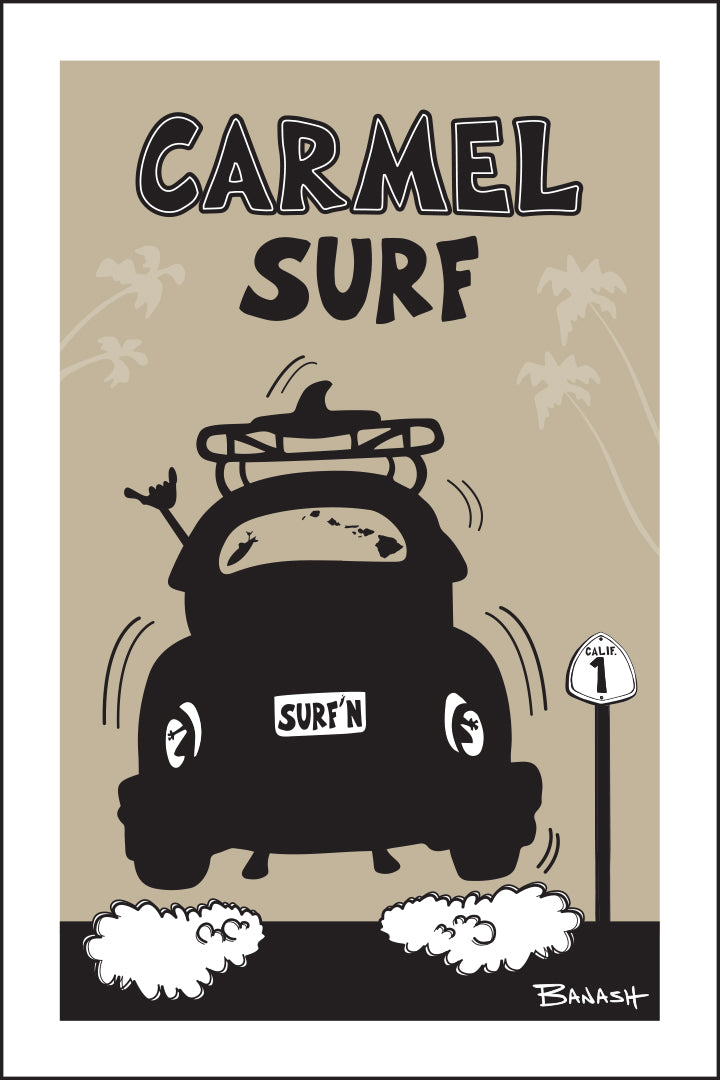 CARMEL ~ SURF BUG TAIL AIR ~ 12x18