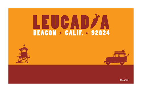 LEUCADIA ~ BEACON ~ CALIF ~ 92024 ~ CATCH A SURF ~ SURF BUS ~ 12x18