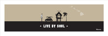 Load image into Gallery viewer, LIVE BY SOUL ~ SURF HUT ~ 8x24