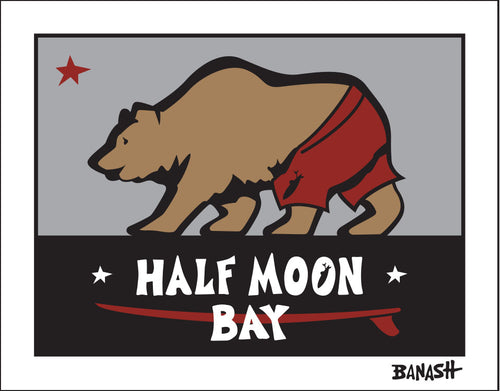 HALF MOON BAY ~ SURF BEAR ~ 16x20