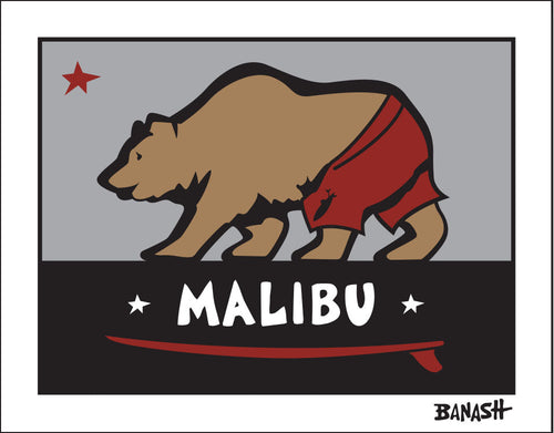 MALIBU ~ SURF BEAR ~ 16x20