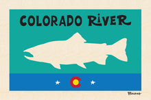 Load image into Gallery viewer, COLORADO RIVER ~ TROUT ~ 8x12