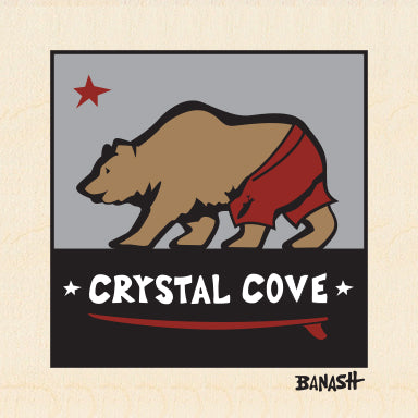 CRYSTAL COVE ~ SURF BEAR ~ 6x6
