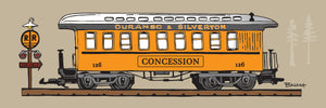 CONCESSION ~ COACH ~ D&SNG RR ~ 8x24