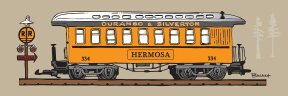 HERMOSA ~ COACH ~ D&SNG RR ~ 8x24