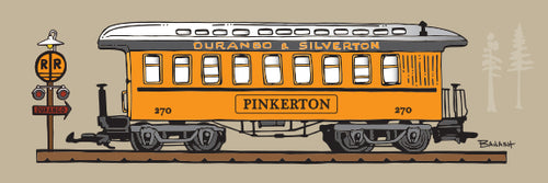 PINKERTON ~ COACH ~ D&SNG RR ~ 8x24