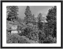 Load image into Gallery viewer, D&amp;SNG RR ~ SAN JUAN NATIONAL FOREST ~ 16x20