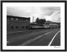 Load image into Gallery viewer, D&amp;SNG RR ~ TRAIN YARD ~ COACH ~ 16x20
