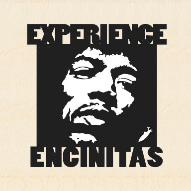 EXPERIENCE ENCINITAS ~ 12x12