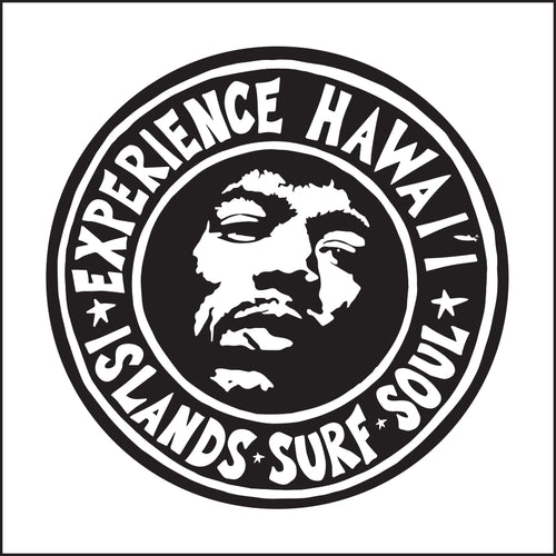 EXPERIENCE HAWAII ~ 12x12