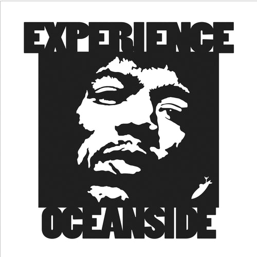 EXPERIENCE OCEANSIDE ~ 12x12