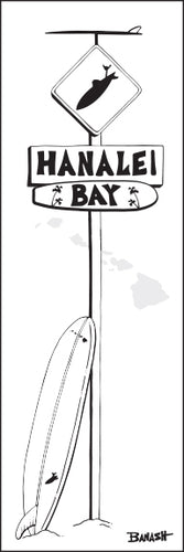HANALEI BAY ~ LONGBOARD ~ SURF XING ~ 8x24