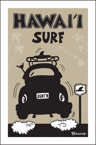 HAWAII ~ SURF BUG TAIL ~ AIR ~ 12x18