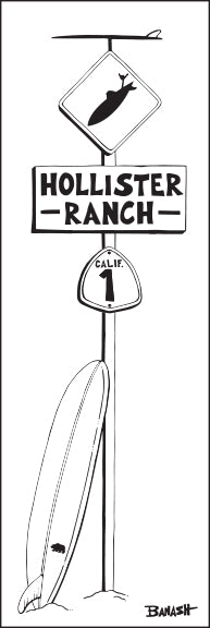 HOLLISTER RANCH ~ LONGBOARD ~ SURF XING ~ 8x24