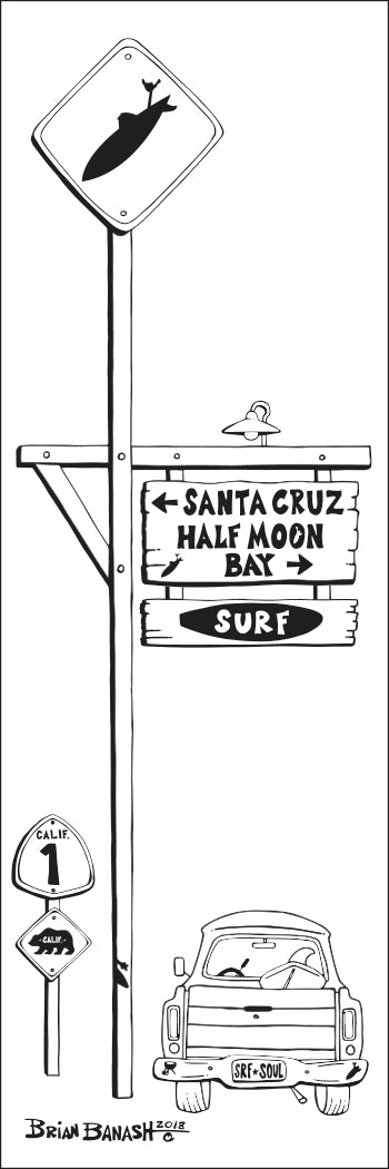 SANTA CRUZ ~ HALF MOON BAY ~ HWY 1 ~ TOWN SURF XING ~ 8x24