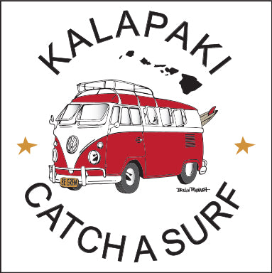 KALAPAKI BEACH ~ CATCH A SURF ~ CALIF STYLE BUS ~ 6x6