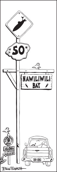 NAWILIWILI BAY ~ TOWN SURF XING ~ 8x24