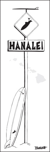 HANALEI ~ LONGBOARD ~ SURF XING ~ 8x24