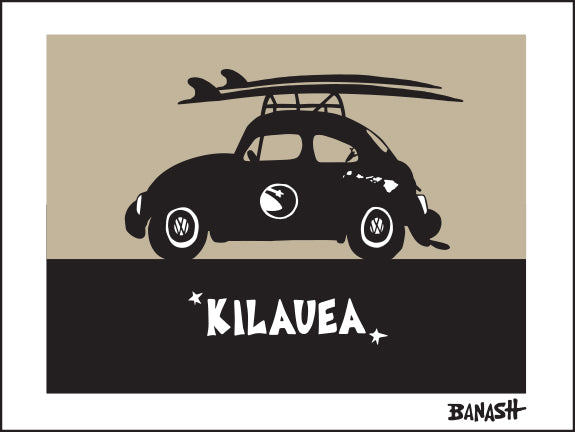 KILAUEA ~ SURF BUG ~ 16x20