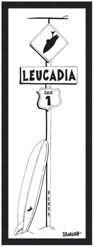 LEUCADIA ~ LONGBOARD ~ SURF XING ~ 8x24