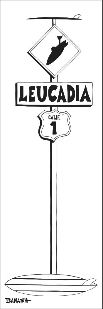 LEUCADIA ~ BOARD POST ~ SURF XING ~ 8x24