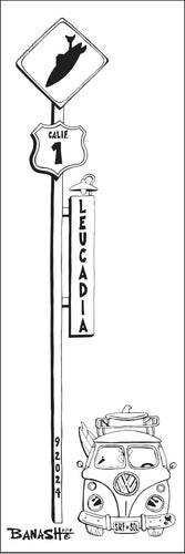 LEUCADIA ~ SURF XING ~ 8x24