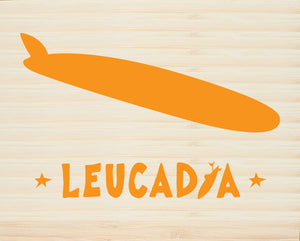 LEUCADIA ~LIVE BY SOUL LONGBOARD ~ 16x20