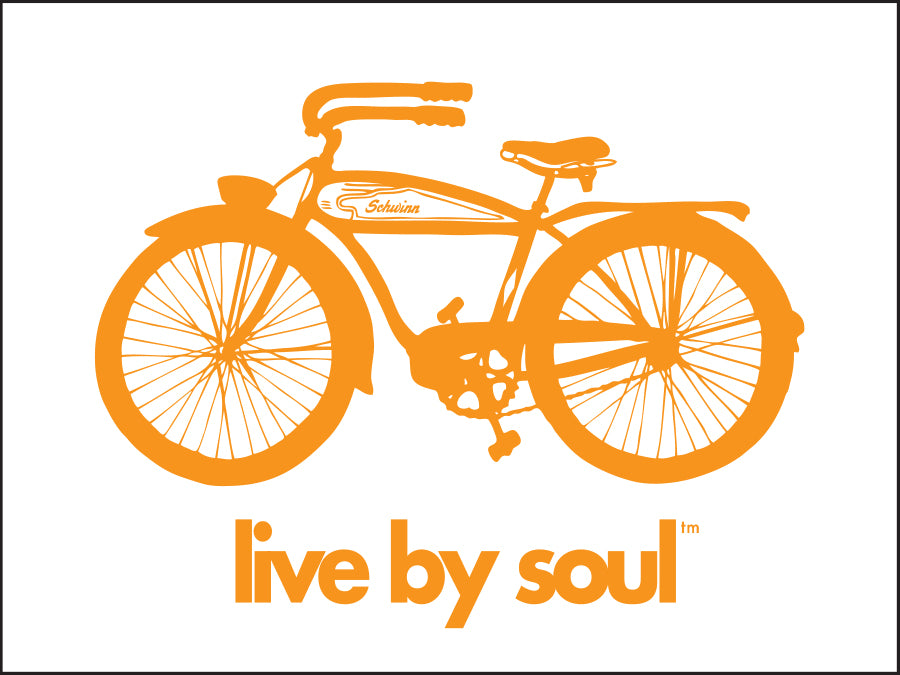 LIVE BY SOUL ~ AUTOCYCLE ~ 16x20