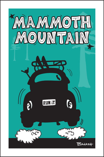 MAMMOTH MOUNTAIN ~ SKI BUG TAIL ~ AIR ~ 12x18