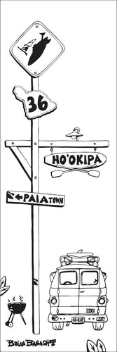 HOOKIPA ~ TOWN SIGN ~ 8x24
