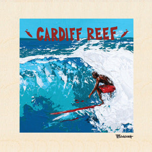 CARDIFF REEF ~ POCKET ~ 6x6